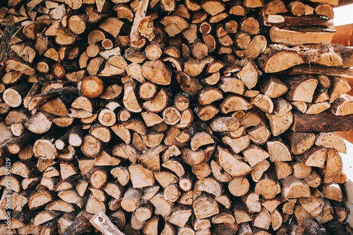 round teak wood stump background