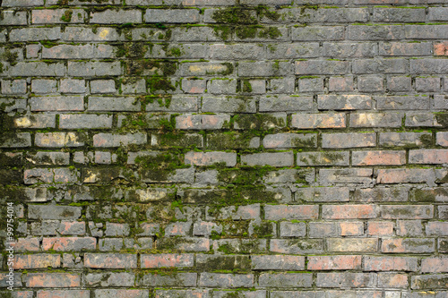 Abandoned brick wall in the mold