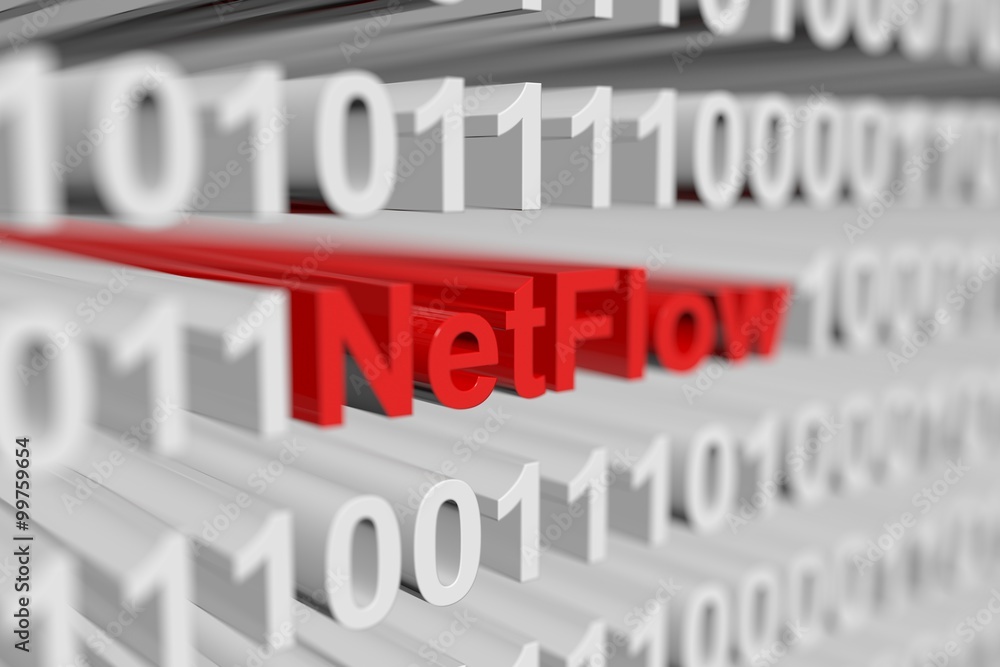 NetFlow is represented as a binary code with blurred background