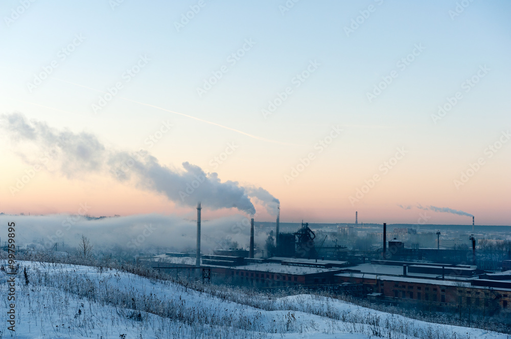 Naklejka premium Winter plant