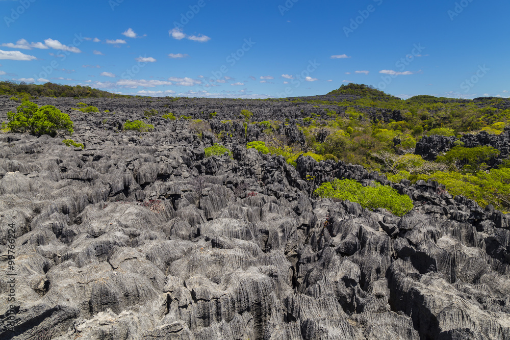 Black sharp rocks in Ankarana Tsingy, Madagascar landmark