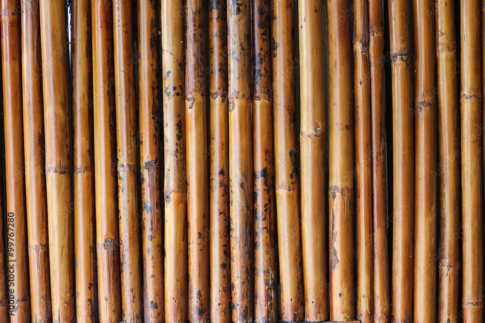Wall of yellow bamboo Wall of yellow bamboo