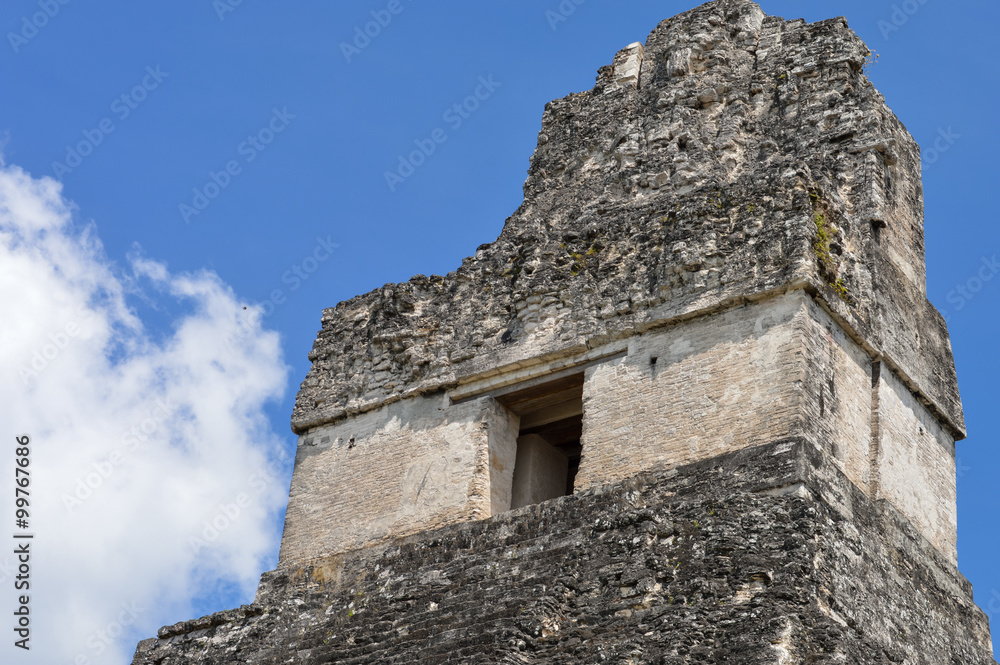 The top of the Temple I of the Maya archaeological site of Tikal