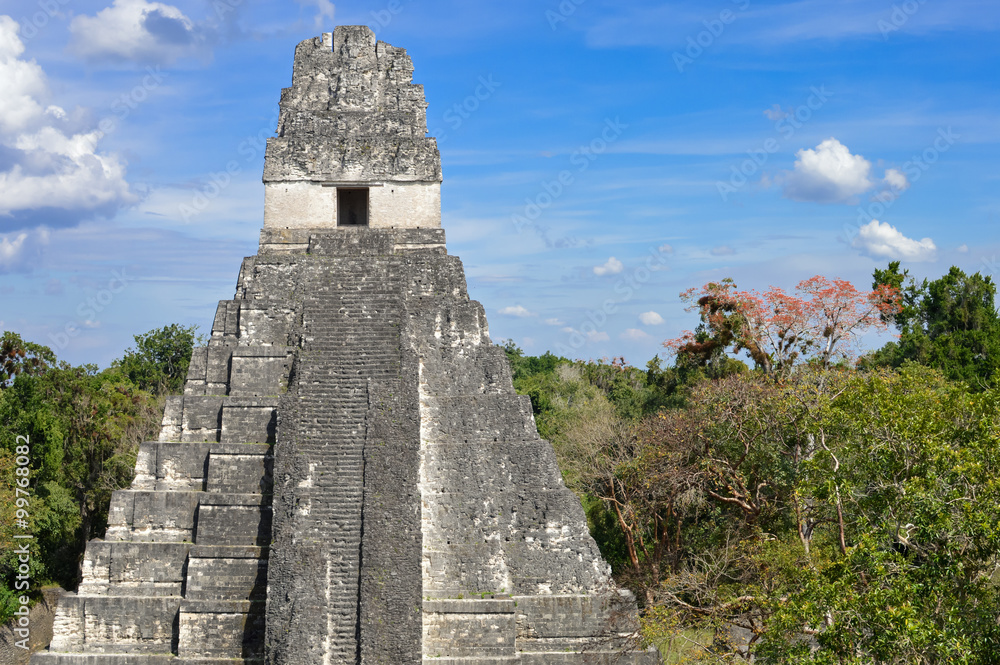 Temple I of the Maya archaeological site of Tikal in Guatemala Temple I of the Maya archaeological site of Tikal in Guatemala