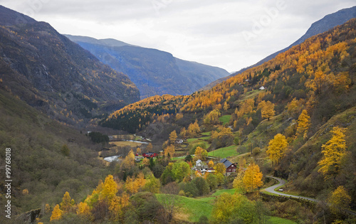 Norvegia  montagna in autunno.