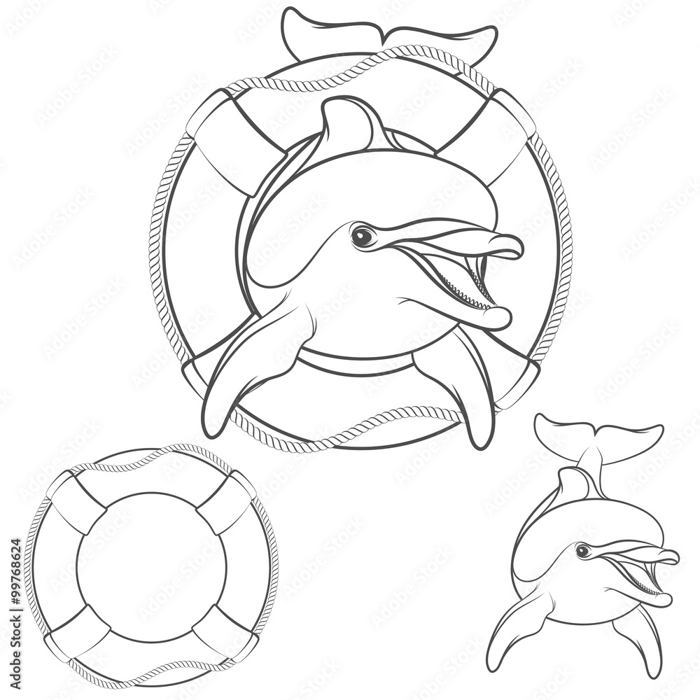 Naklejka premium Set of dolphin logo design element. Isolated vector objects on a white background 