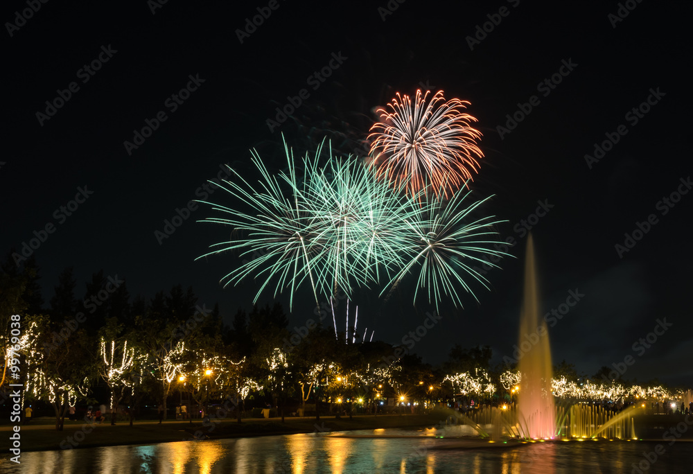 Fireworks in the city park