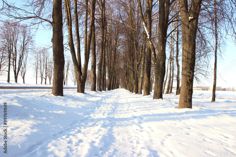Winter. Winter road through snowy fields and forests. Winter road surrounded by snow-covered trees Winter. Winter road through snowy fields and forests. Winter road surrounded by snow-covered trees