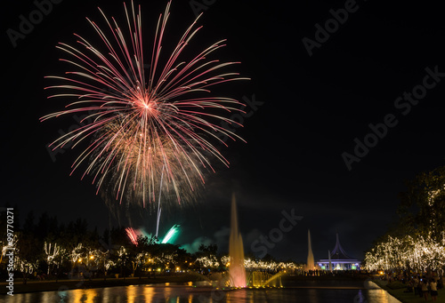 Fireworks in the city park © boonsom
