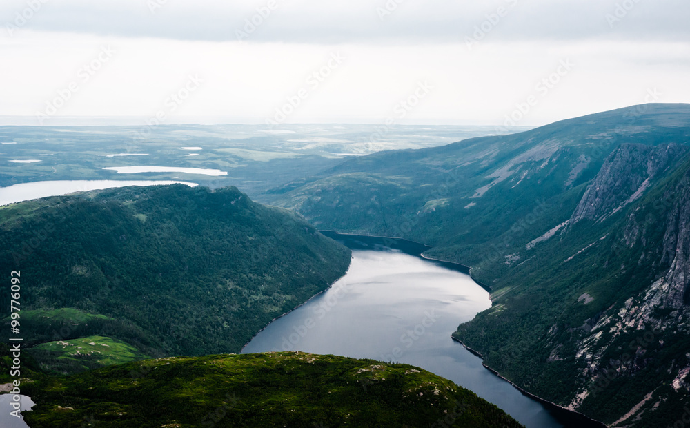 Inland fjord between steep cliffs against green landscape