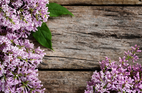 The flower lilac a wooden background