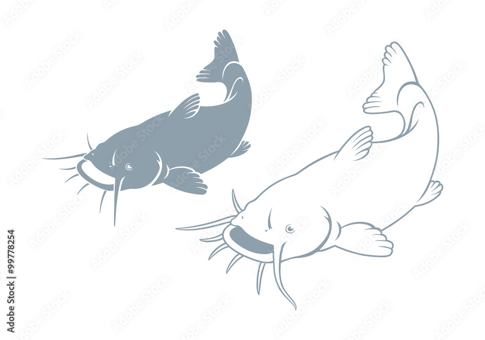 Naklejka premium fish catfish