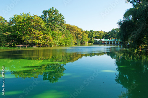Il laghetto di Central Park, lago, polmone verde, natura, alberi, parco pubblico, New York photo