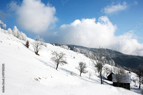 Winter landscape © joyt