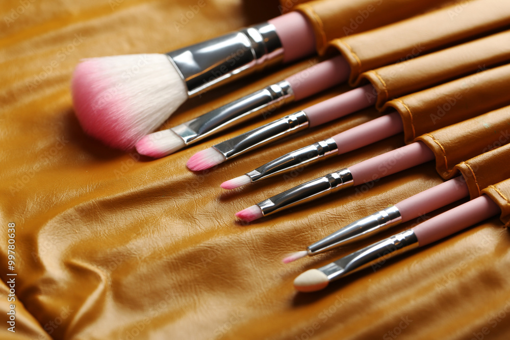 Makeup brush set in the brown case Makeup brush set in the brown case