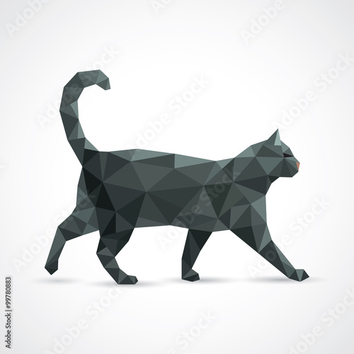 Black cat from geometric elements