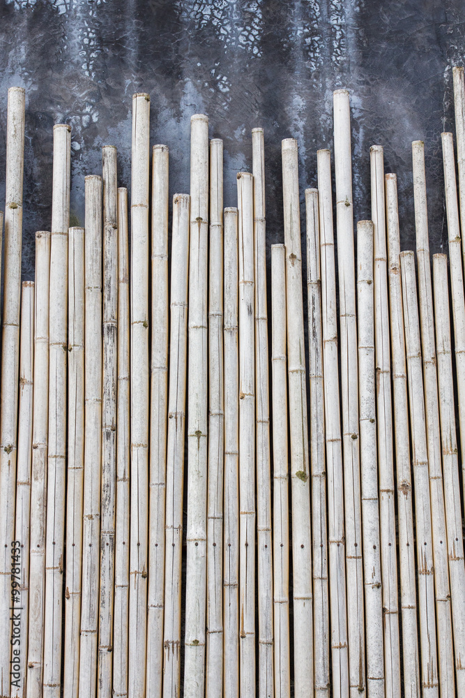 Bamboo texture pattern and concrete background Bamboo texture pattern and concrete background