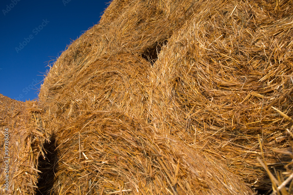 Piled hay bales on a field against blue sky
