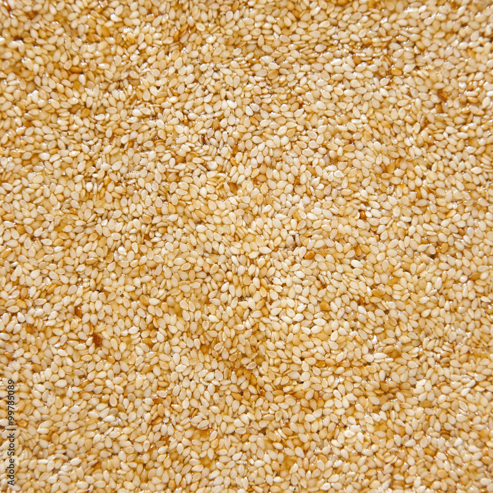 sesame texture sesame texture