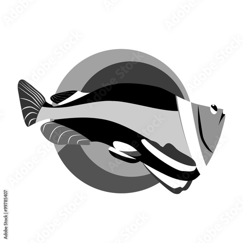 monochrome tropical fish