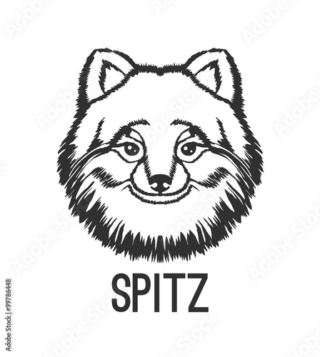 Spitz vector black logo icon illustration