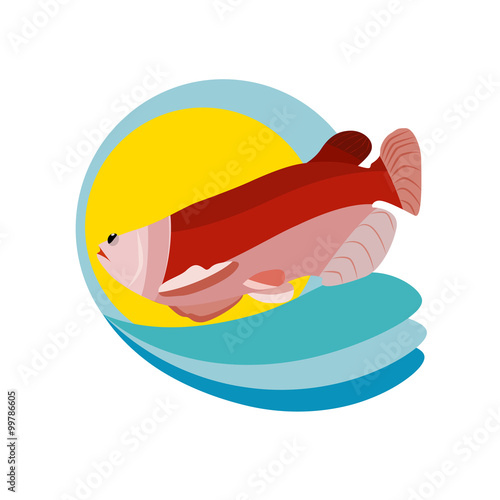 salmon fish