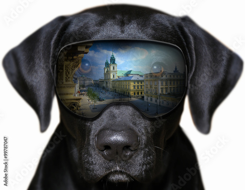 Panorama Starego Miasta w Warszawie - fotomontaż z psem, 