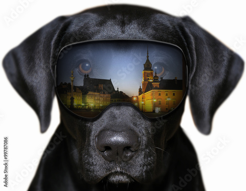 Panorama Starego Miasta w Warszawie - fotomontaż z psem,
