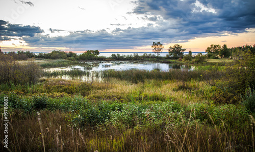Northern Wetlands Habitat. Protected wetland habitat along the coast of Lake Superior. Tahquamenon Falls State Park. Paradise, Michigan. photo