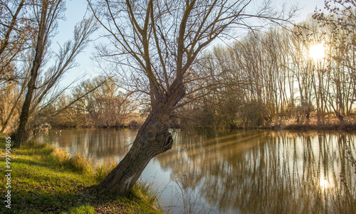 Golden Landscape. River win...