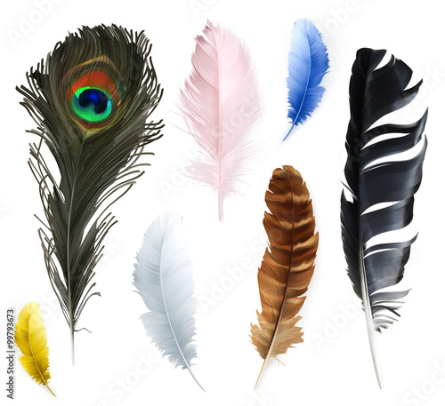 Feathers, vector icons set