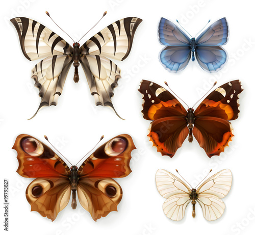 Butterflies, vector icons set