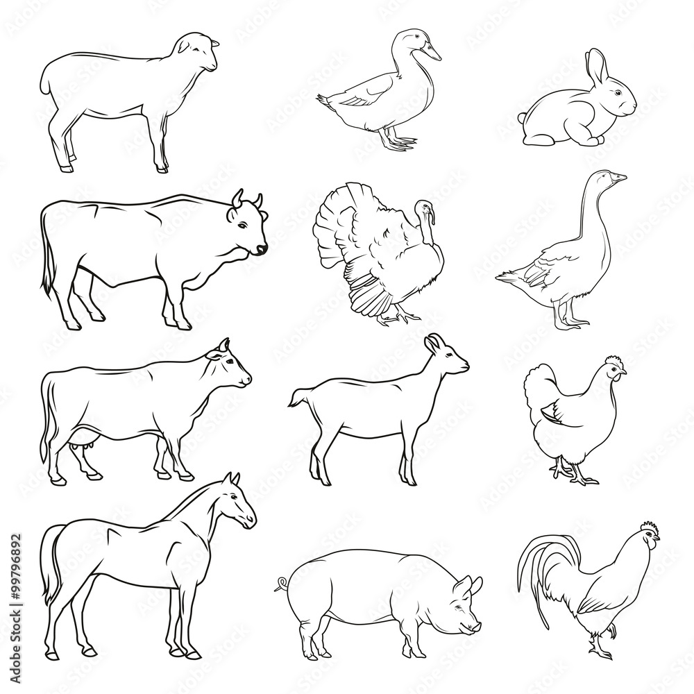 Details more than 142 domestic animals drawing vietkidsiq.edu.vn
