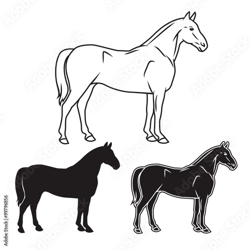 Hand drawn horse set. Vector illustration