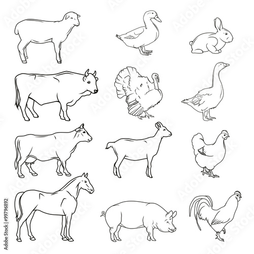 Meat symbols. Hand drawn farm animals. Vintage vector 