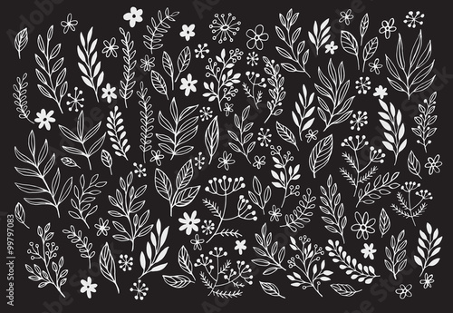 Hand drawn chalkboard design elements. Vector illustration