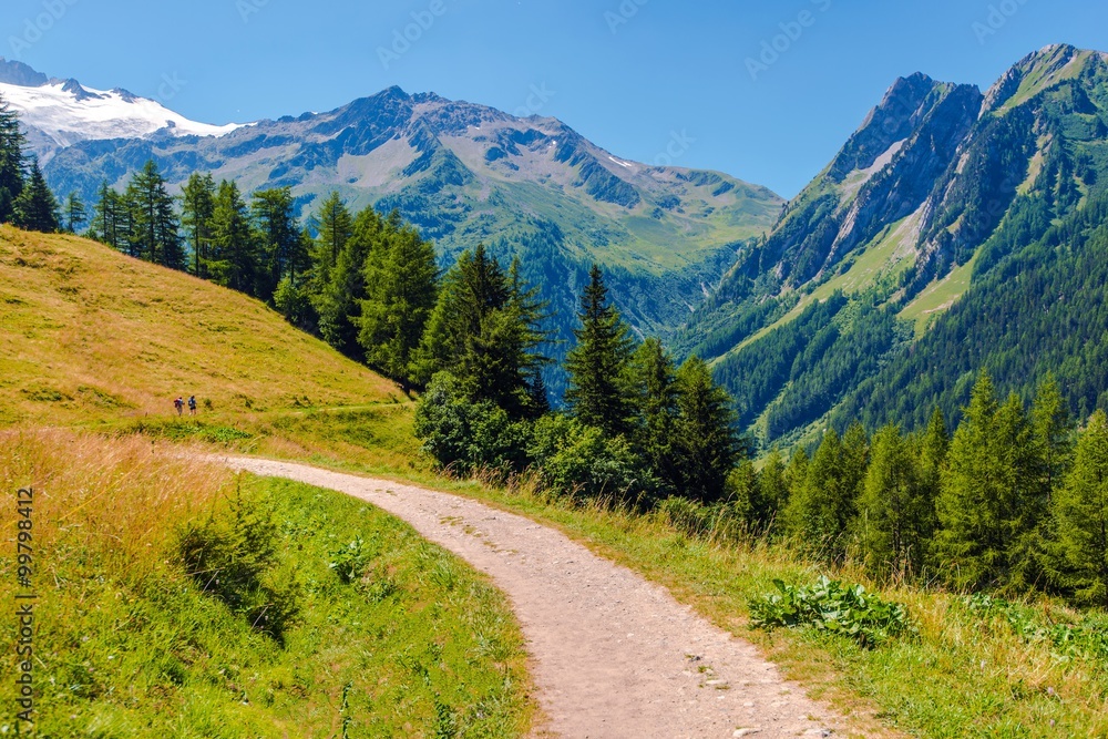 Alpine Trail in Switzerland
