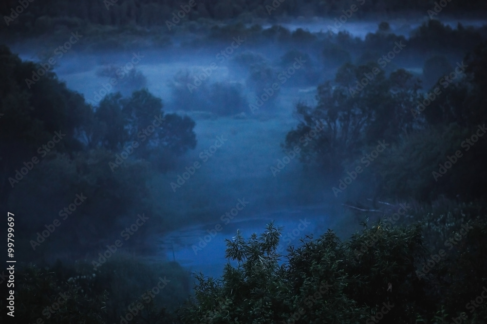 cold fog on forest  at night in moon light
