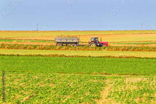 Tractor in a farmer field