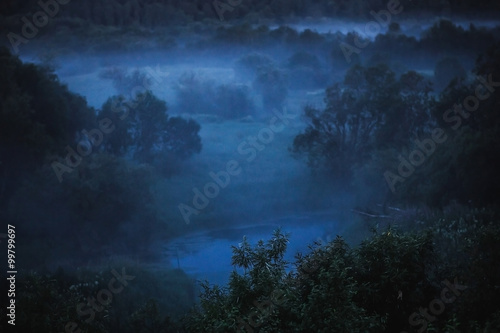 cold fog on forest at night in moon light
