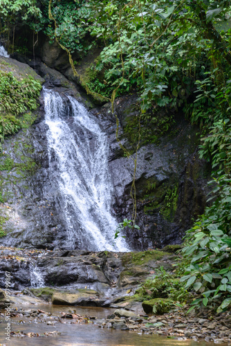 Jungle waterfall