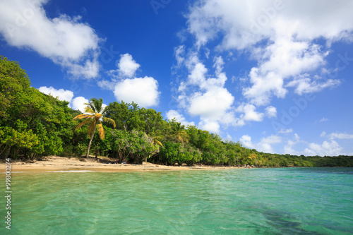 Exotic Beach in the Pointe Borgnese Natural Site  Martinique