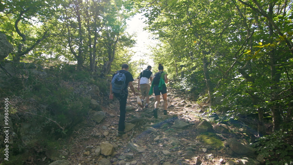 Young friends walking in the woods in summer Young friends walking in the woods in summer