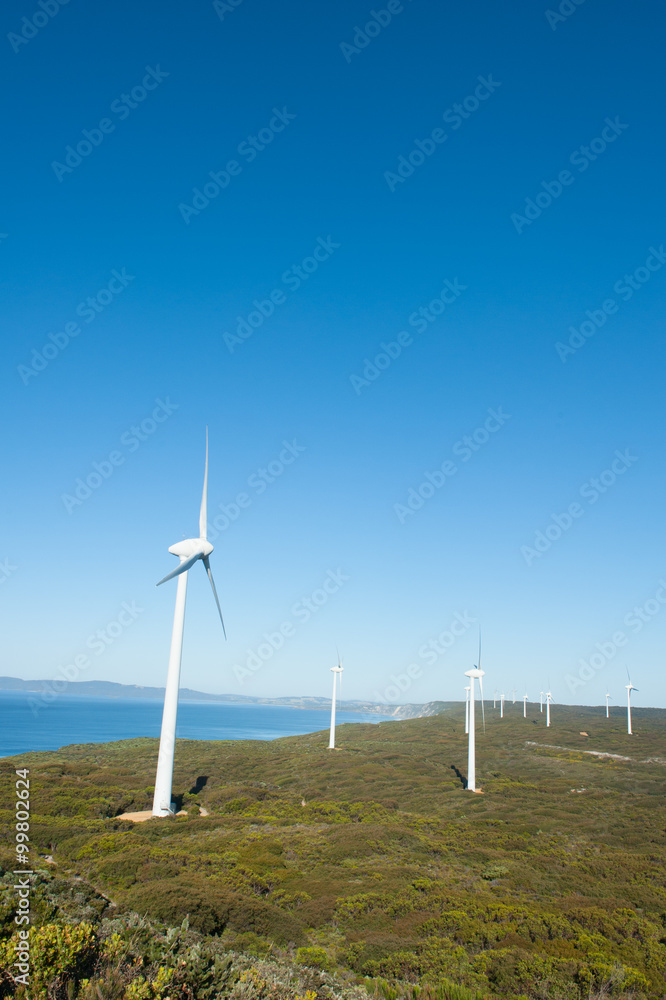 Renewable Wind Farm Western Australia