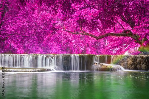 Waterfall in rain forest at national park