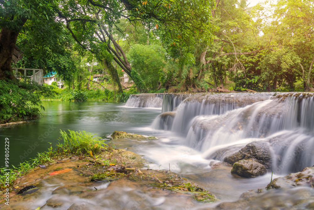 Waterfall in rain forest at national park