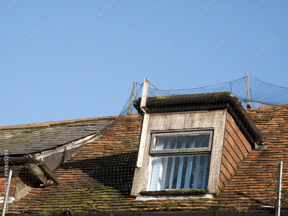 Rooftop dorma window with anti bird netting deterrent