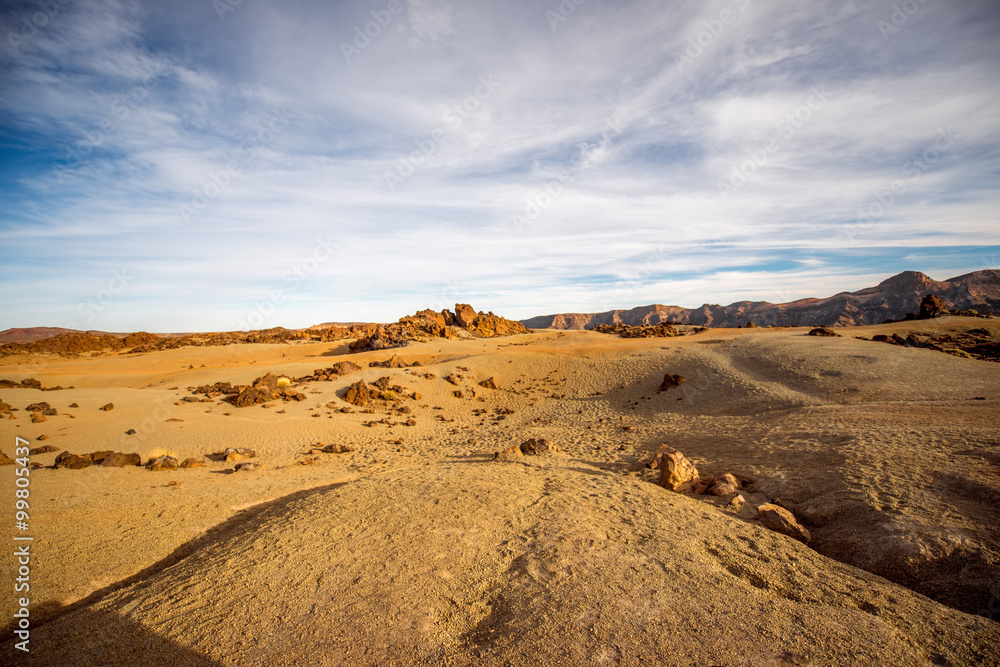 Beautiful desert landscape 