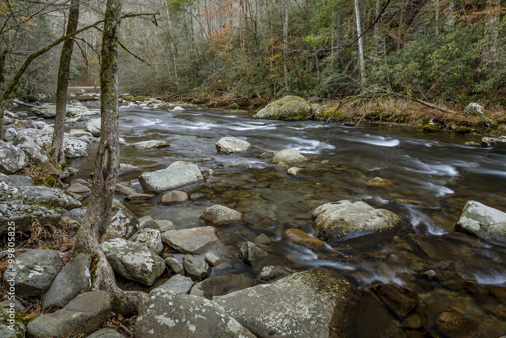 Stream Winding Through a Forest - Tennessee Stream Winding Through a Forest - Tennessee