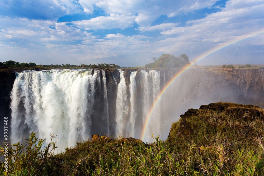 Fototapeta premium The Victoria falls with rainbow